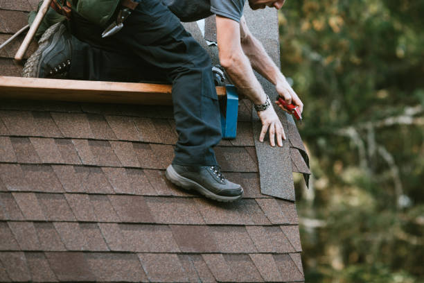 Best Roof Leak Repair  in Ackley, IA